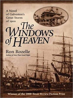cover image of The Windows of Heaven